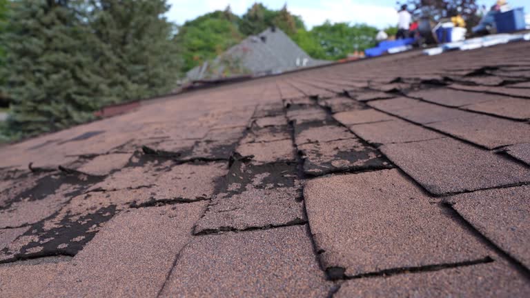  New Hackensack, NY Roofing Service Pros