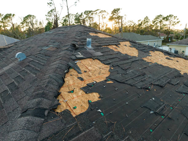 Best Sheet Metal Roofing  in New Hackensack, NY