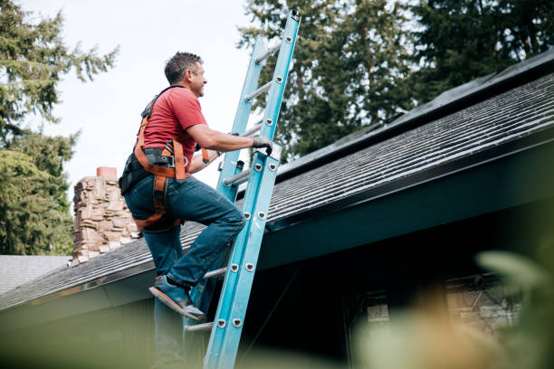 Best Roof Moss and Algae Removal  in New Hackensack, NY