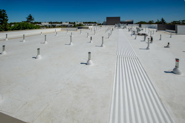 Best Roof Maintenance and Cleaning  in New Hackensack, NY